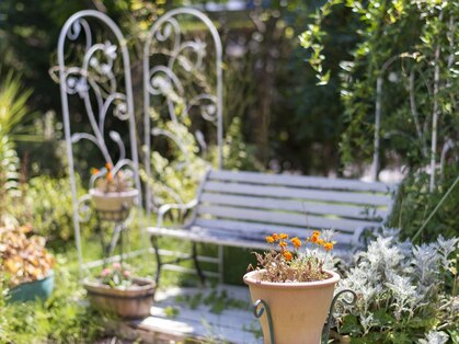 アンジェリカの写真