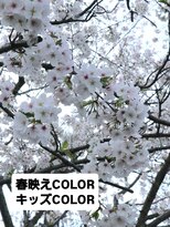 シャルシェ(Chercher)&nbsp;春映えCOLOR