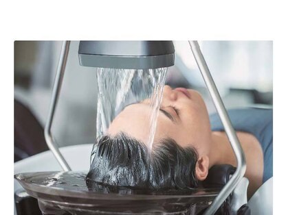 クローバー(clover)の写真