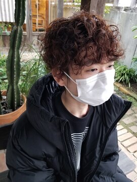 テントヘアー(tent hair) 男子もクルクルパーマで春待ちだ!!