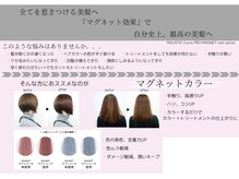 パピヨンロゼ(Papillon Rose)の雰囲気（マグネットカラーでツヤ感◎全メニュ-にヘッドスパが＋1500でOK）