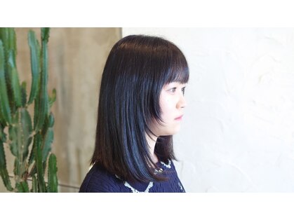 ブルーム(bloom)の写真