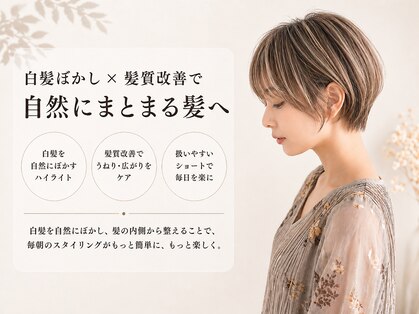 ヨール(YOL)の写真