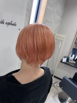 リベルター(Libertad) ダブルカラー