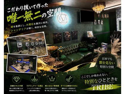 トライブ(TRIBE)の写真