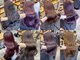 クペウ(cope'u)の写真