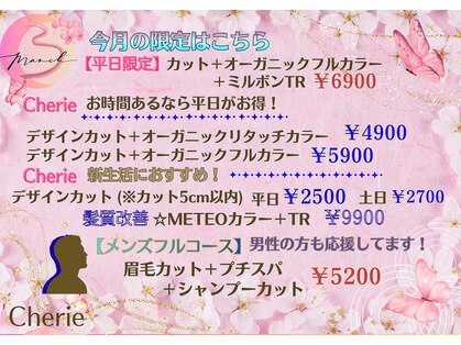 シェリー(Cherie)の写真