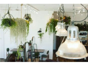 Belle 銀座並木通り店【ベル　ギンザナミキドオリテン】