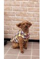 ヘアーサロンロージー 水沢寺小路店(Hair Salon Rosy)&nbsp;愛犬☆