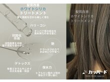 トランクサロンカッパードの雰囲気（ホワイトシリカトリートメント！羽の様に上質な絹髪へ！）