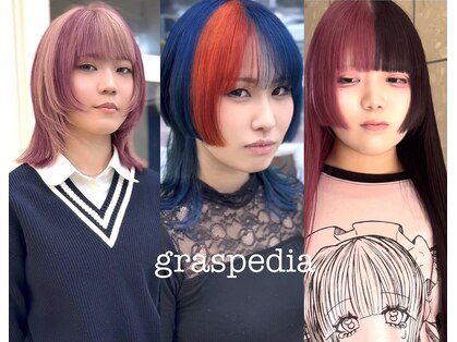 グラスペディア(graspedia)の写真