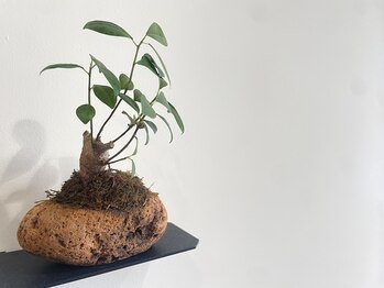 マウカ(mauca)の写真/大人女性の髪質改善ストレート
