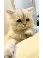 リエスタサロン 流山おおたかの森(liesta)&nbsp;ペルシャ猫を飼っています♪ペットのお話welcomeです！