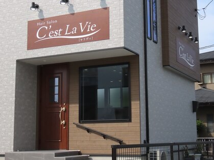 セラヴィ(C'est La Vie)の写真