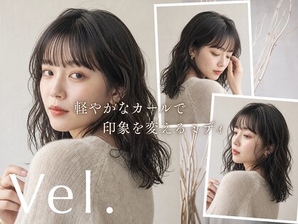 ヴェル(Vel.)の写真