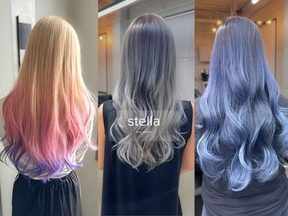 ステラ(stella)の写真