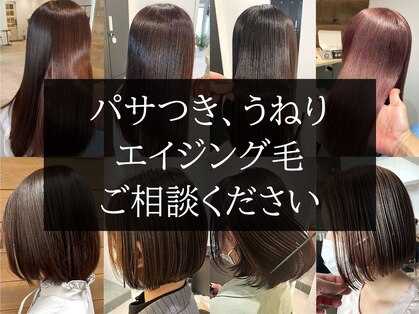イコール 妙典(equal)の写真