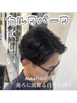 アロハ(ALoha) メンズ カルマパーマ