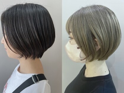 アンジェリーク(ANGELIQUE)の写真