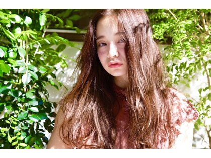 ルーシー(Lucy)の写真