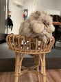 アルバム 新宿(ALBUM SHINJUKU)&nbsp;飼っているむぅちゃんはほっぺたモフモフです！[ブリーチ]