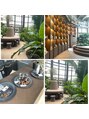 アルベロ(albero) マイブームの植物園