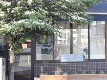 アオゾラヘアー フジサキグウ(AOZORA HAIR FUJISAKIGU)の雰囲気（3号線/藤崎宮交差点沿い1F/シンボルツリーが目印[ボブ/髪質改善]）