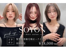 ソヨン 上挙母店(SOYON)