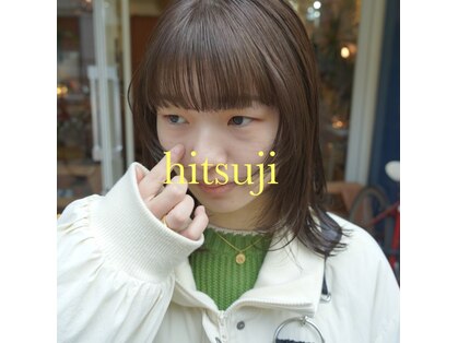 ヒツジ(hitsuji)の写真