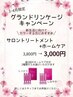 4月限定☆カット+カラー+キャンペーントリートメント ¥16300→¥11900 [柏]