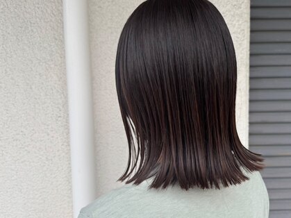 イニシオ(inicio)の写真