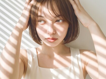 カルテット(Quartett)の写真