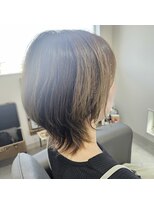 えぬ. レイヤー