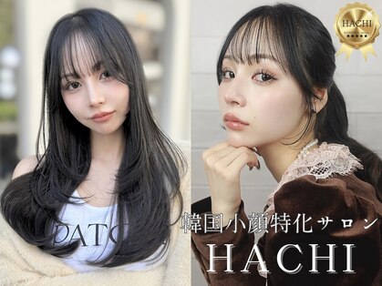 ハチ(HACHI)の写真