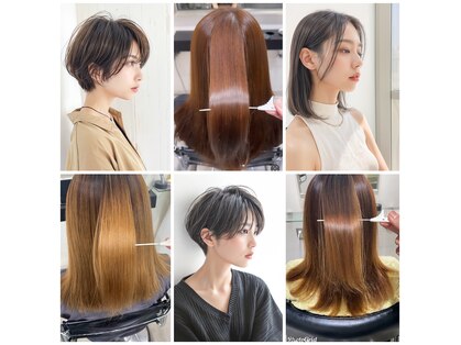 ハイト(Height)の写真