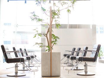 giulietta【ジュリエッタ】