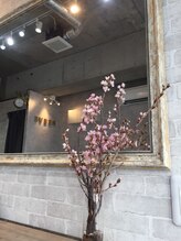 レーヴェ 吉祥寺(Reeve)