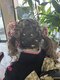 エテルノ リンド 美容室(Eterno Lindo)の写真/特別な日を彩るヘアセット！結婚式やイベントに映える6パターン3300円でお仕上げ☆