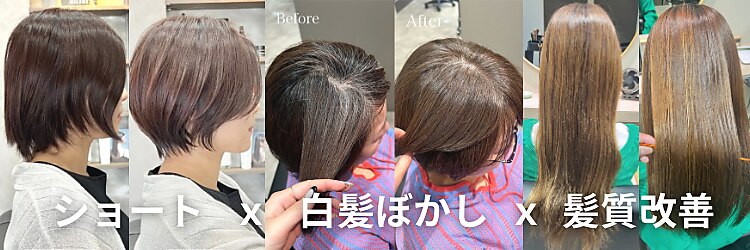 ミルシェ(MILSHE)のサロンヘッダー