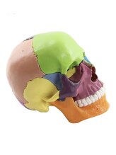 **こんな方におすすめ**  