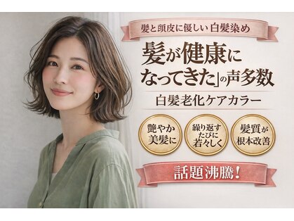 コマチ(comachi)の写真