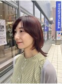 ボルドーブラウン×ミディアムウルフ