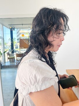 パーム スプリングス(Palm Springs) Hair by Palm Springs 879