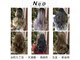 ネオヘアー 谷町九丁目店(Neo hair)の写真