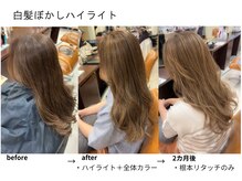 シェール モリオ(chere MORIO)の雰囲気（白髪ぼかしハイライトでおしゃれな立体感、出せます！）