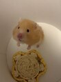 コム(COM) ワイの相棒ゴールデンハムスターの【ころも】です^ ^