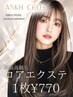 《1年使える◎超高級品質》ワンカラー+ロアエクステジョーカー【1枚¥770】