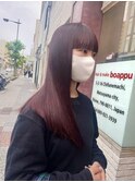 #カシスカラー#イルミナカラー