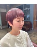 ラベンダーショート