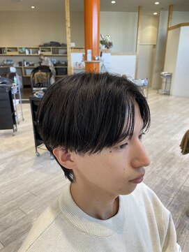 ニコバイヒーズ(nico by Hi-s) センターパート